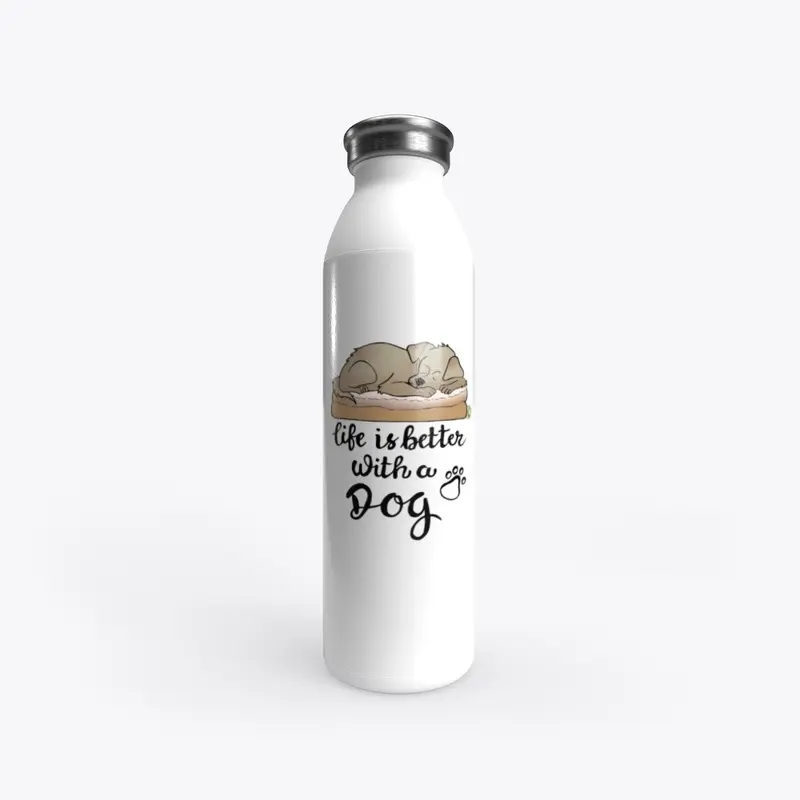 Stainless Steel Bottle